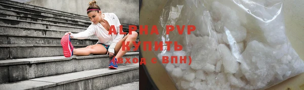 ПСИЛОЦИБИНОВЫЕ ГРИБЫ Касимов