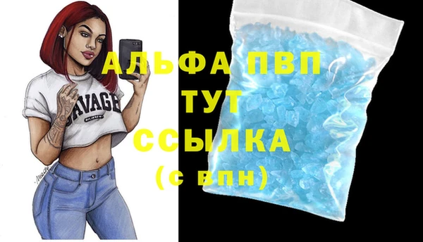 СК Каменка
