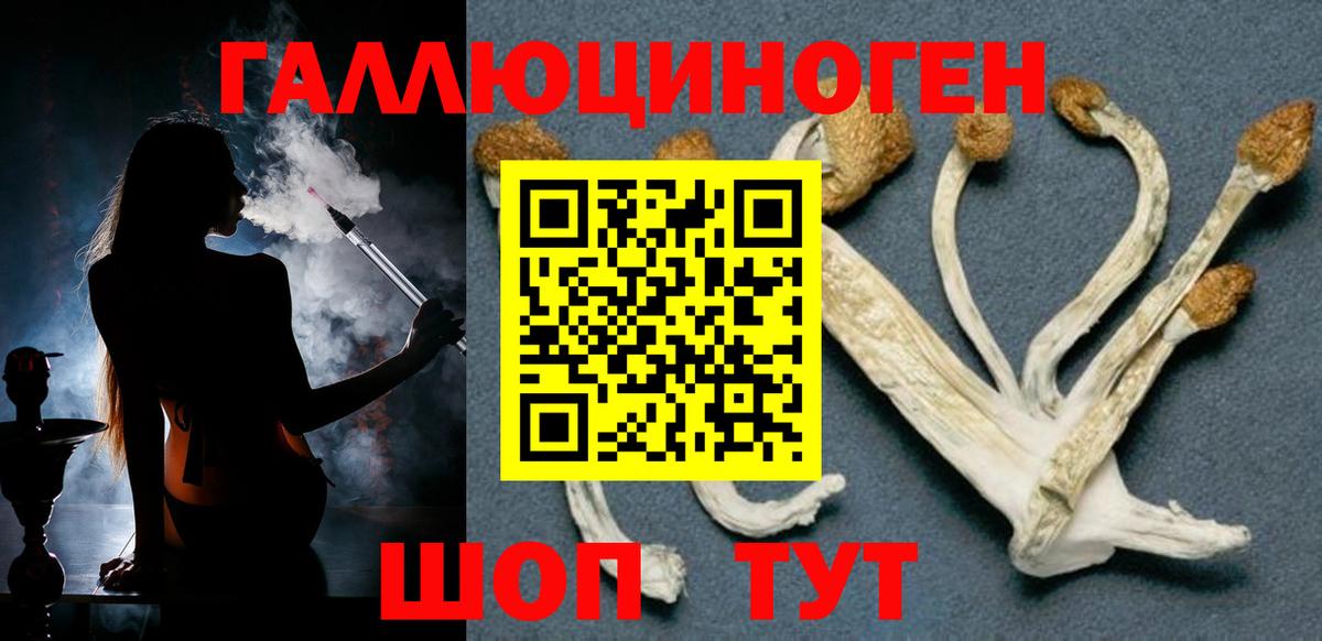 Галлюциногенные грибы Magic Shrooms Клинцы