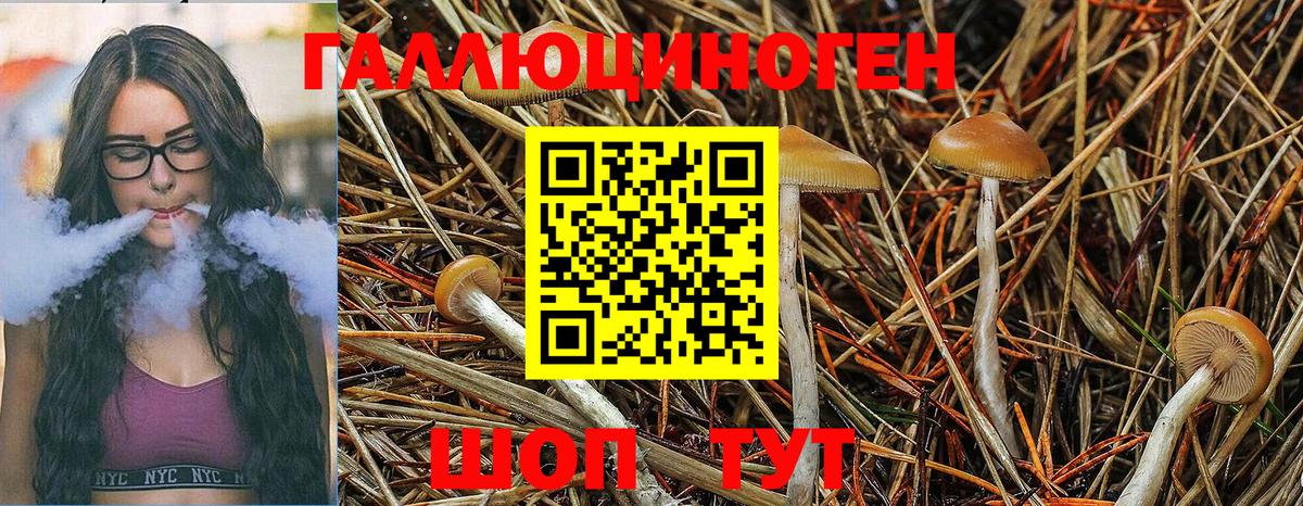 Псилоцибиновые грибы Psilocybe  Галлюциногенные грибы Magic Shrooms  Вход с VPN  Клинцы 